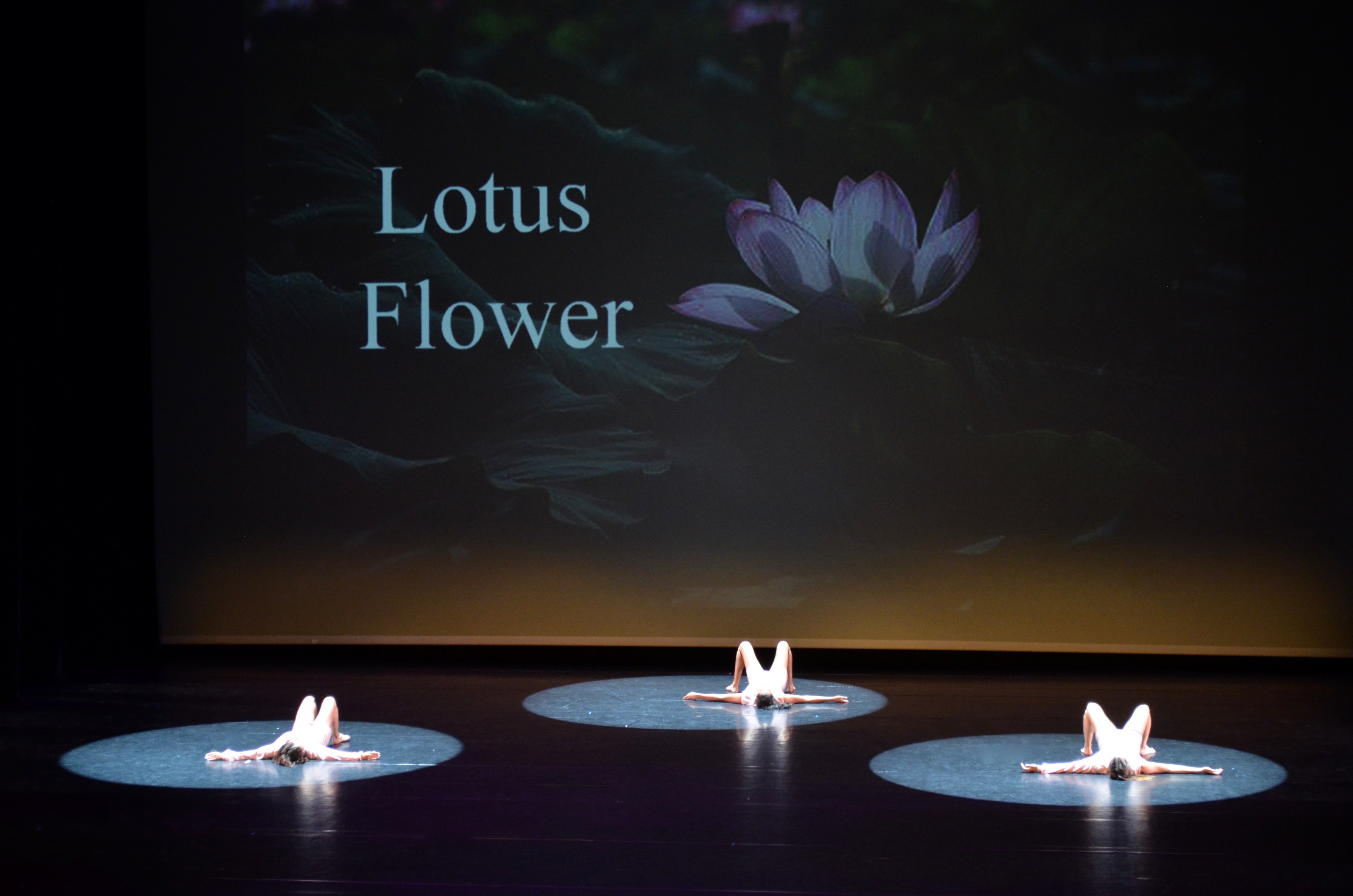 Lotus Flower 2022